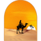 Nomad's Elixir
