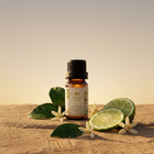 Nomad's Elixir Bergamot Essential Oil + Free Diffuser - Image 2